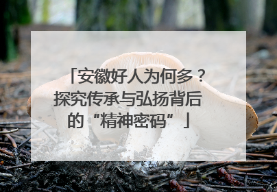 安徽好人为何多？探究传承与弘扬背后的“精神密码”
