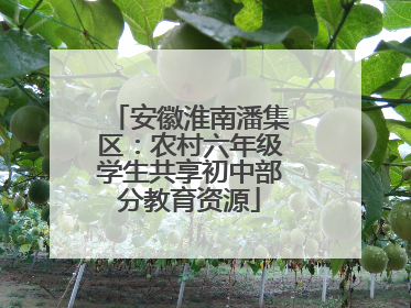 安徽淮南潘集区：农村六年级学生共享初中部分教育资源