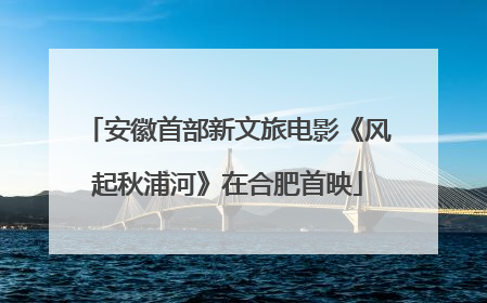 安徽首部新文旅电影《风起秋浦河》在合肥首映