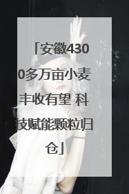 安徽4300多万亩小麦丰收有望 科技赋能颗粒归仓