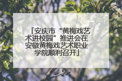 安庆市“黄梅戏艺术进校园”推进会在安徽黄梅戏艺术职业学院顺利召开