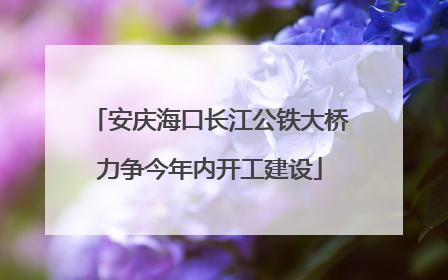 安庆海口长江公铁大桥力争今年内开工建设