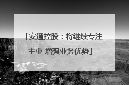 安通控股：将继续专注主业 增强业务优势