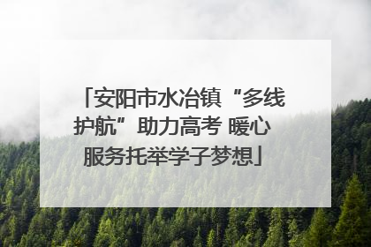 安阳市水冶镇“多线护航”助力高考 暖心服务托举学子梦想