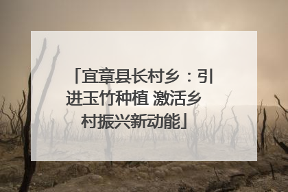 宜章县长村乡：引进玉竹种植 激活乡村振兴新动能