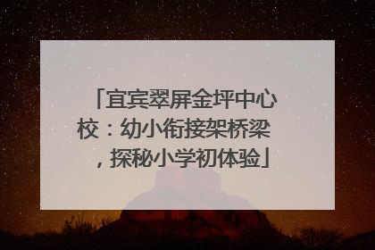宜宾翠屏金坪中心校：幼小衔接架桥梁，探秘小学初体验