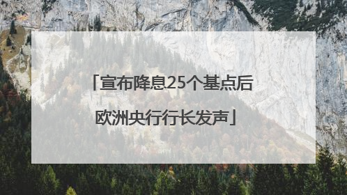 宣布降息25个基点后 欧洲央行行长发声