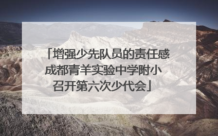 增强少先队员的责任感 成都青羊实验中学附小召开第六次少代会