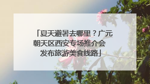 夏天避暑去哪里？广元朝天区西安专场推介会 发布旅游美食线路