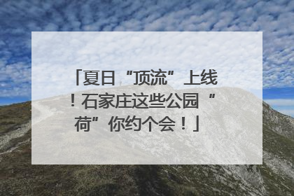 夏日“顶流”上线！石家庄这些公园“荷”你约个会！