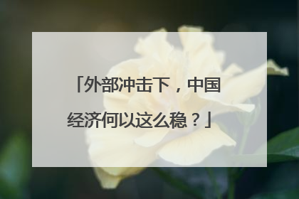 外部冲击下，中国经济何以这么稳？