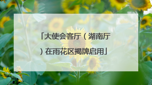 大使会客厅（湖南厅）在雨花区揭牌启用