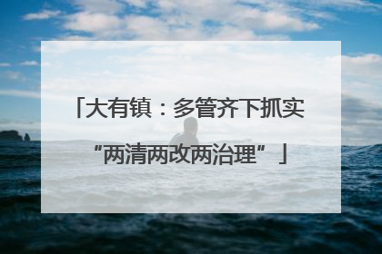 大有镇：多管齐下抓实“两清两改两治理”