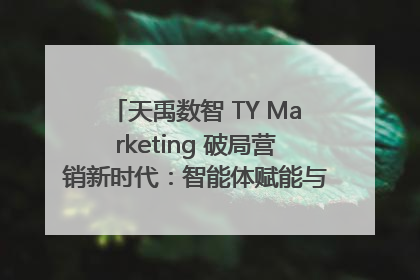 天禹数智 TY Marketing 破局营销新时代：智能体赋能与人才培育双轮驱动