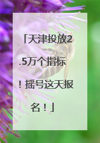 天津投放2.5万个指标！摇号这天报名！