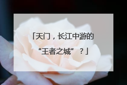 天门，长江中游的“王者之城”？