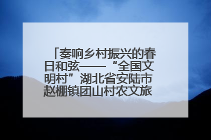 奏响乡村振兴的春日和弦——“全国文明村”湖北省安陆市赵棚镇团山村农文旅融合发展见闻