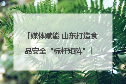 媒体赋能 山东打造食品安全“标杆矩阵”