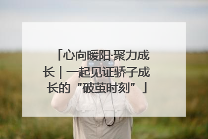 心向暖阳·聚力成长｜一起见证骄子成长的“破茧时刻”