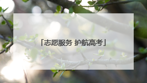 志愿服务 护航高考