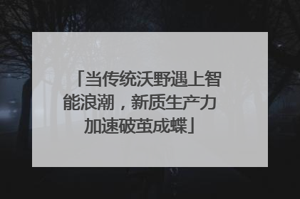 当传统沃野遇上智能浪潮，新质生产力加速破茧成蝶