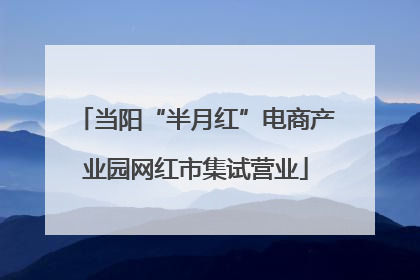当阳“半月红”电商产业园网红市集试营业