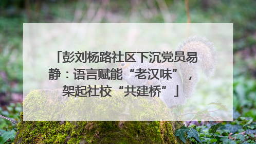 彭刘杨路社区下沉党员易静：语言赋能“老汉味”，架起社校“共建桥”