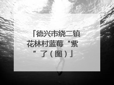 德兴市绕二镇花林村蓝莓“紫”了（图）