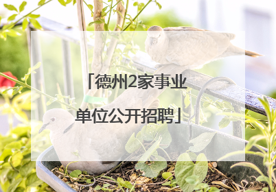 德州2家事业单位公开招聘