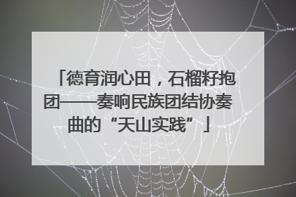 德育润心田，石榴籽抱团——奏响民族团结协奏曲的“天山实践”