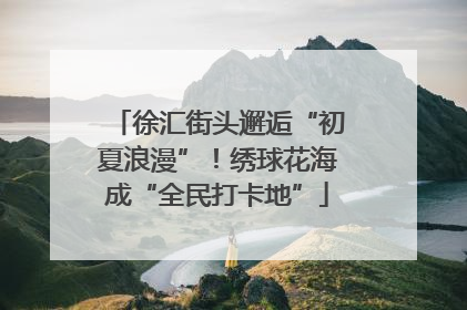 徐汇街头邂逅“初夏浪漫”！绣球花海成“全民打卡地”