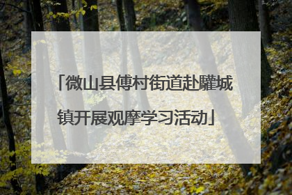 微山县傅村街道赴驩城镇开展观摩学习活动