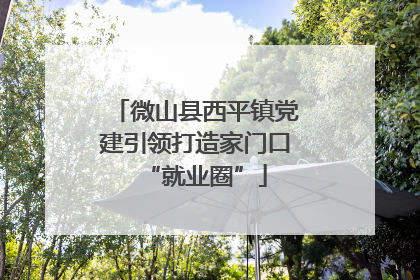微山县西平镇党建引领打造家门口“就业圈”