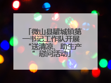 微山县驩城镇第一书记工作队开展“送清凉、助生产”慰问活动