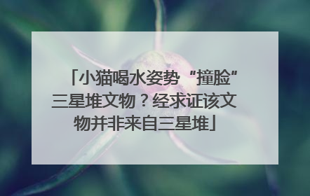 小猫喝水姿势“撞脸”三星堆文物？经求证该文物并非来自三星堆