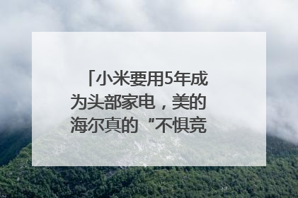 小米要用5年成为头部家电，美的海尔真的“不惧竞争”？｜热财经