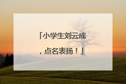 小学生刘云成，点名表扬！