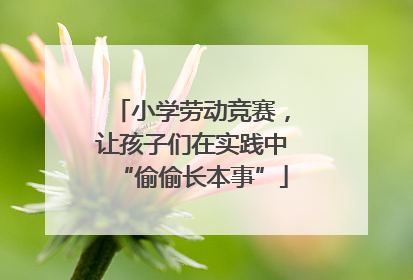 小学劳动竞赛，让孩子们在实践中“偷偷长本事”