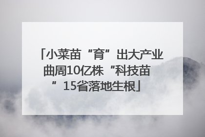 小菜苗“育”出大产业 曲周10亿株“科技苗”15省落地生根