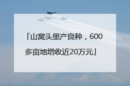 山窝头里产良种，600多亩地增收近20万元