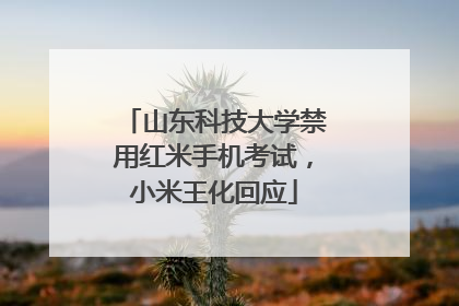 山东科技大学禁用红米手机考试，小米王化回应