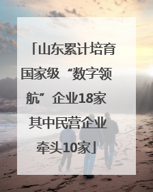山东累计培育国家级“数字领航”企业18家 其中民营企业牵头10家