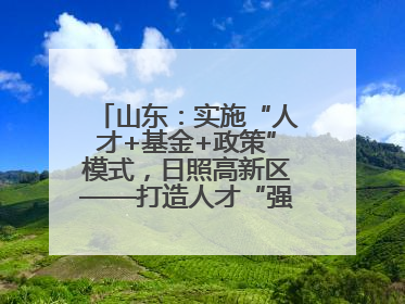 山东：实施“人才+基金+政策”模式，日照高新区——打造人才“强磁场”