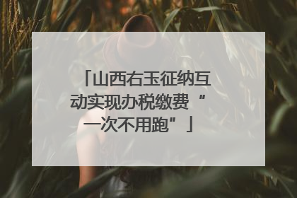 山西右玉征纳互动实现办税缴费“一次不用跑”
