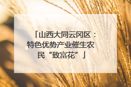 山西大同云冈区：特色优势产业催生农民“致富花”