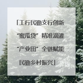 工行民勤支行创新“蜜瓜贷”精准滴灌“产业田”全链赋能民勤乡村振兴