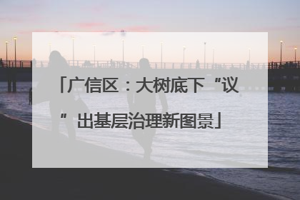 广信区：大树底下“议”出基层治理新图景