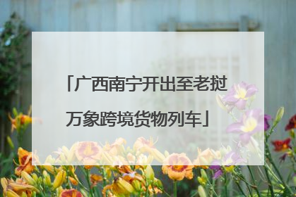 广西南宁开出至老挝万象跨境货物列车