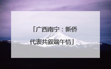 广西南宁：新侨代表共叙端午情