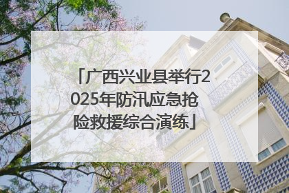 广西兴业县举行2025年防汛应急抢险救援综合演练